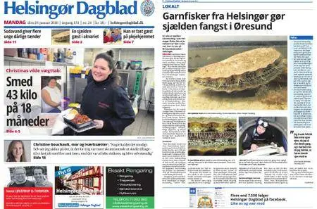Helsingør Dagblad – 29. januar 2018