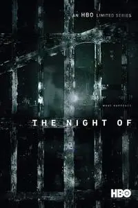 The Night Of S02E17