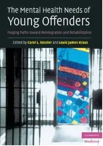 The Mental Health Needs of Young Offenders: Forging Paths toward Reintegration and Rehabilitation