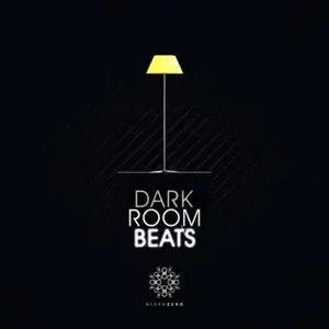 V.A. - Dark Room Beats (2010)