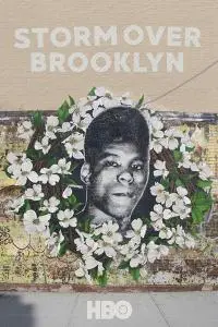 Yusuf Hawkins: Storm Over Brooklyn (2020)