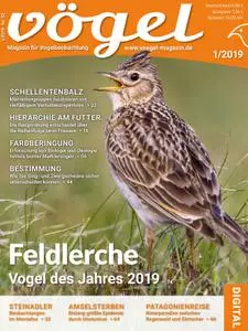 VÖGEL - Magazin für Vogelbeobachtung – 07. Dezember 2018