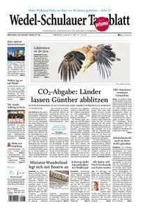 Wedel-Schulauer Tageblatt - 02. Juli 2019