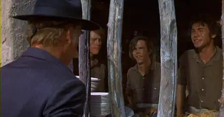 The Spikes Gang (1974)