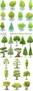 Vectors - Different Shiny Trees 13