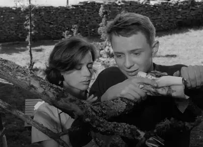 Through a Glass Darkly / Såsom i en spegel (1961) [The Criterion Collection]