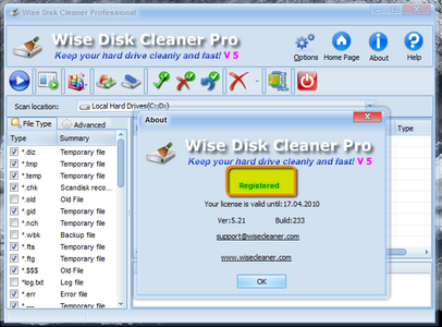 Portable Wise Disk Cleaner Pro v5.21 Build 233 Multilanguage
