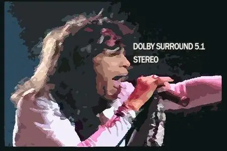 Aerosmith - Live In Philadelphia 1990 DVD (2008)