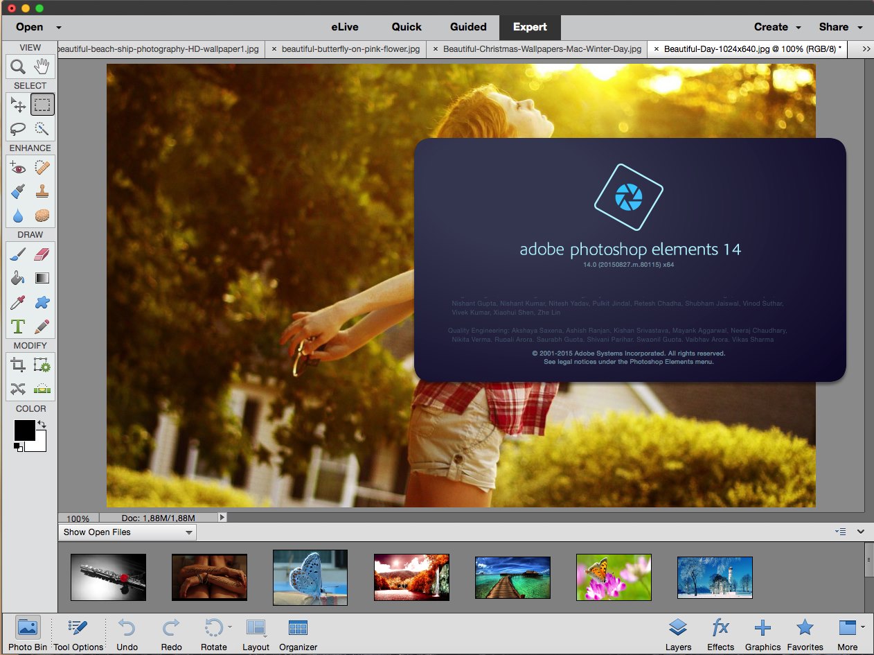Photoshop elements download torrent finanza autorenting s.a direccion de migracion