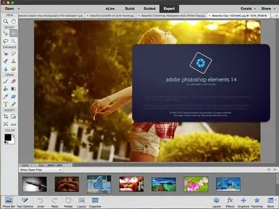 Adobe Photoshop Elements 14.0 Multilingual Mac OS X