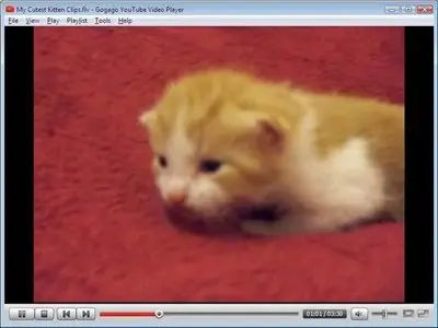 Gogago YouTube Video Player 1.1.8