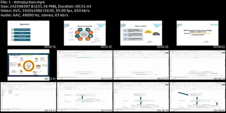SAP Analytics Cloud (SAC) with Certification Practice Test