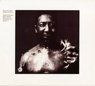 Muddy Waters - After The Rain (1969) [Reissue 2011] (Repost)