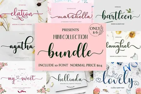 Mini Bundle - 10 Premium Fonts for Only $5