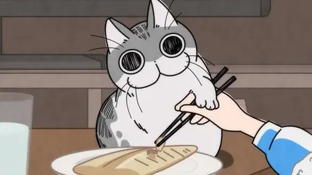 Nights With a Cat - S01E06 - Night 6 A Cat Who Observes Grilled Fish