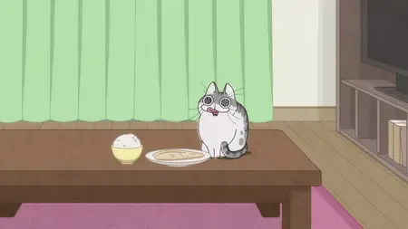 Nights With a Cat - S01E06 - Night 6 A Cat Who Observes Grilled Fish