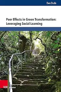 Peer Effects in Green Transformation: Leveraging Social Learning