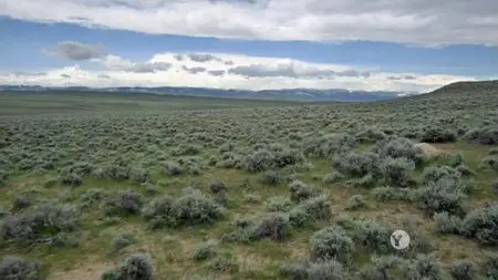 PBS - Nature: The Sagebrush Sea (2015)
