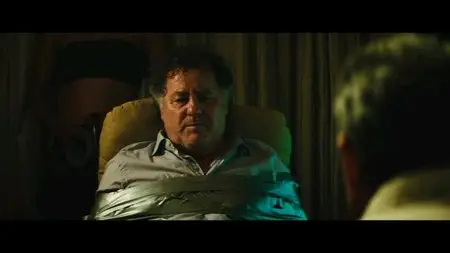 Get the Gringo (2012)