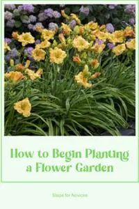 How to Begin Planting a Flower Garden: Steps for Novices: To Begin a Flower Garden, Follow These Steps.