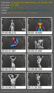 Female Anatomy Tutorial