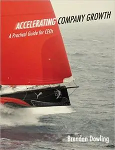 Accelerating Company Growth: A Practical Guide for CEOs