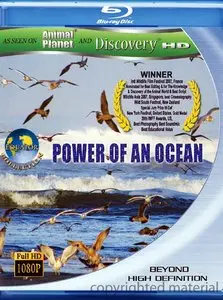 Equator: The Complete Collection (2005)