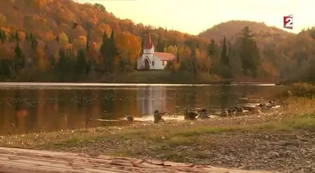 (Fr2) Les forêts du Québec en 4 couleurs (2014)