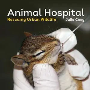 «Animal Hospital» by Julia Coey