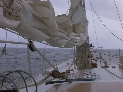 Dead Calm (1989)