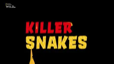 NG. - Killer Snakes (2021)