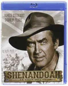 Shenandoah (1965)