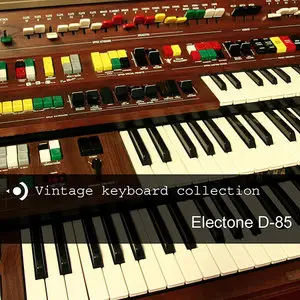 Precision Sound Vintage Keyboard Collection Electone D-85 MULTiFORMAT (repost)