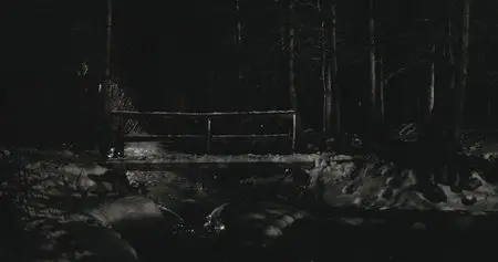 Let Me In / Впусти меня. Сага (2010)