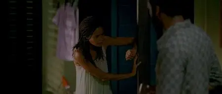 Half of a Yellow Sun (2013)