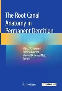 The Root Canal Anatomy in Permanent Dentition (Repost)