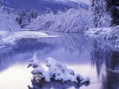 Extraordinary  Images of  Winter Scenes V3