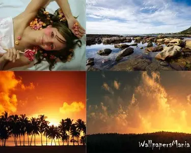 Wallpapers 11
