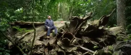 Il etait une Foret (2013)