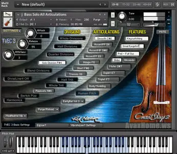 Kirk Hunter Studios Concert Strings 2 Solo Divisions KONTAKT