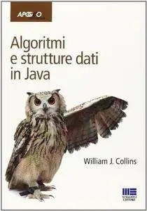 Algoritmi e strutture dati in Java