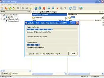 Auto FTP Manager ver. 3.59 Full