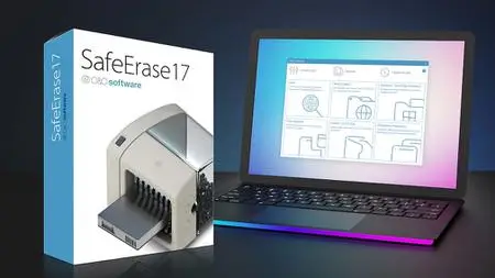 O&O SafeErase Professional / Server 17.6.234 (x64)