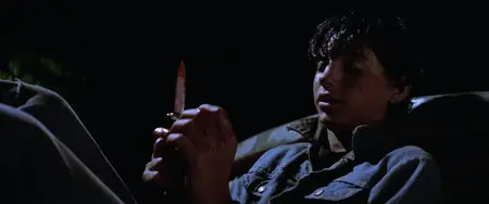The Outsiders / Die Outsider (1983)