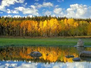 Wallpapers - Super Nature