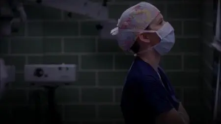 Grey's Anatomy S09E23