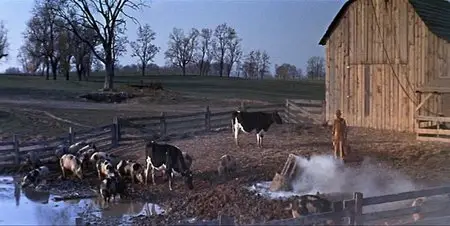 The Great Race (1965)
