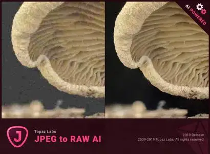 Topaz JPEG to RAW AI 2.2.0 + Portable