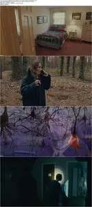 The Taking of Deborah Logan (2014)