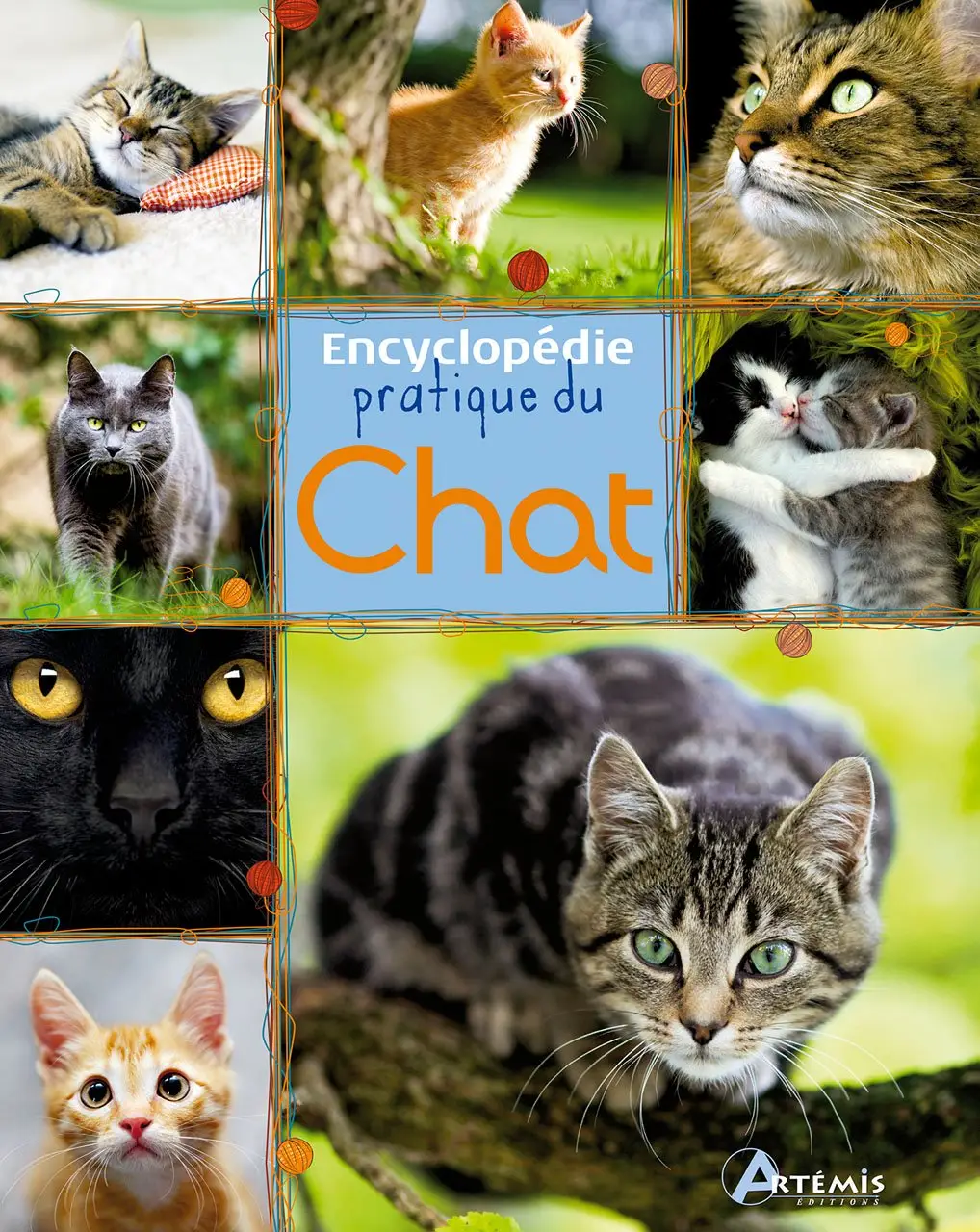 Du Chat Room